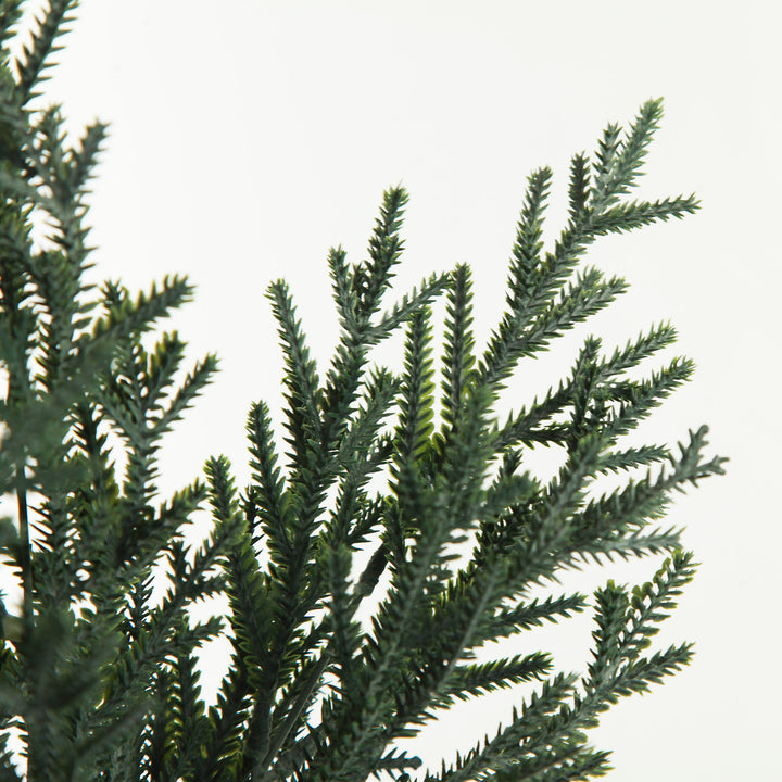 Pine Bush Spray