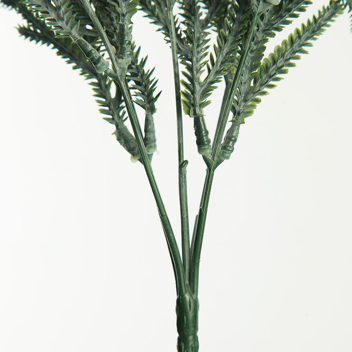 Pine Bush Spray