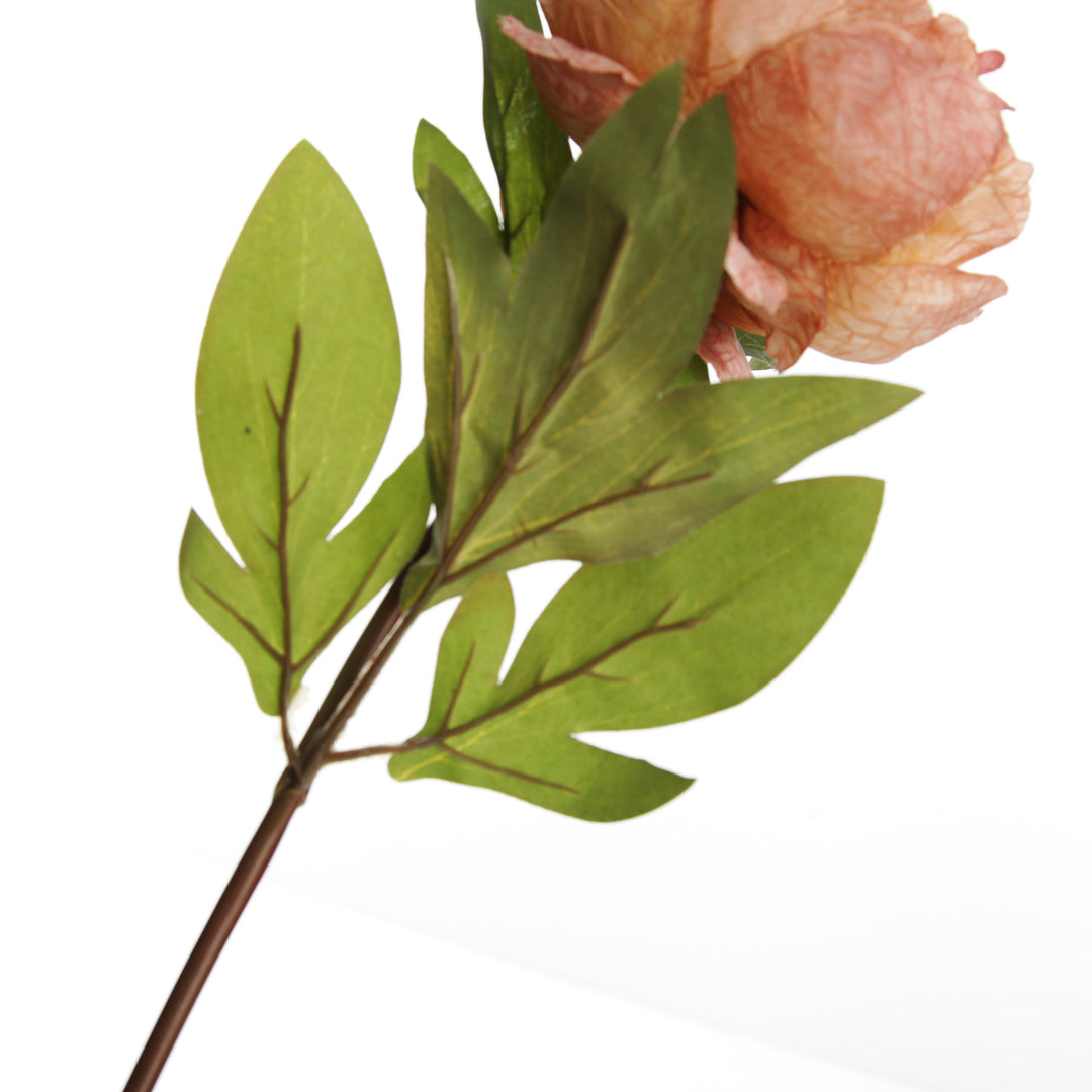 Pink Apricot Peony Flower Stem - Leaves Detail