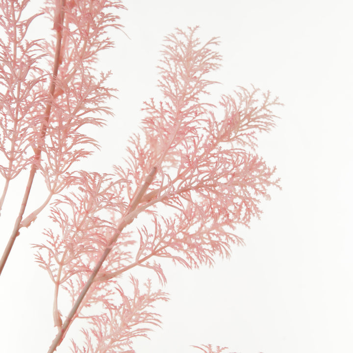 Pink Bushy Coral Spray