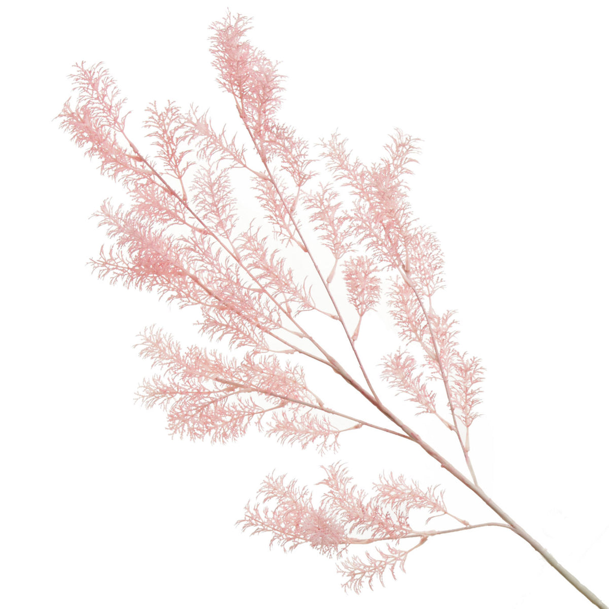 Pink Bushy Coral Spray