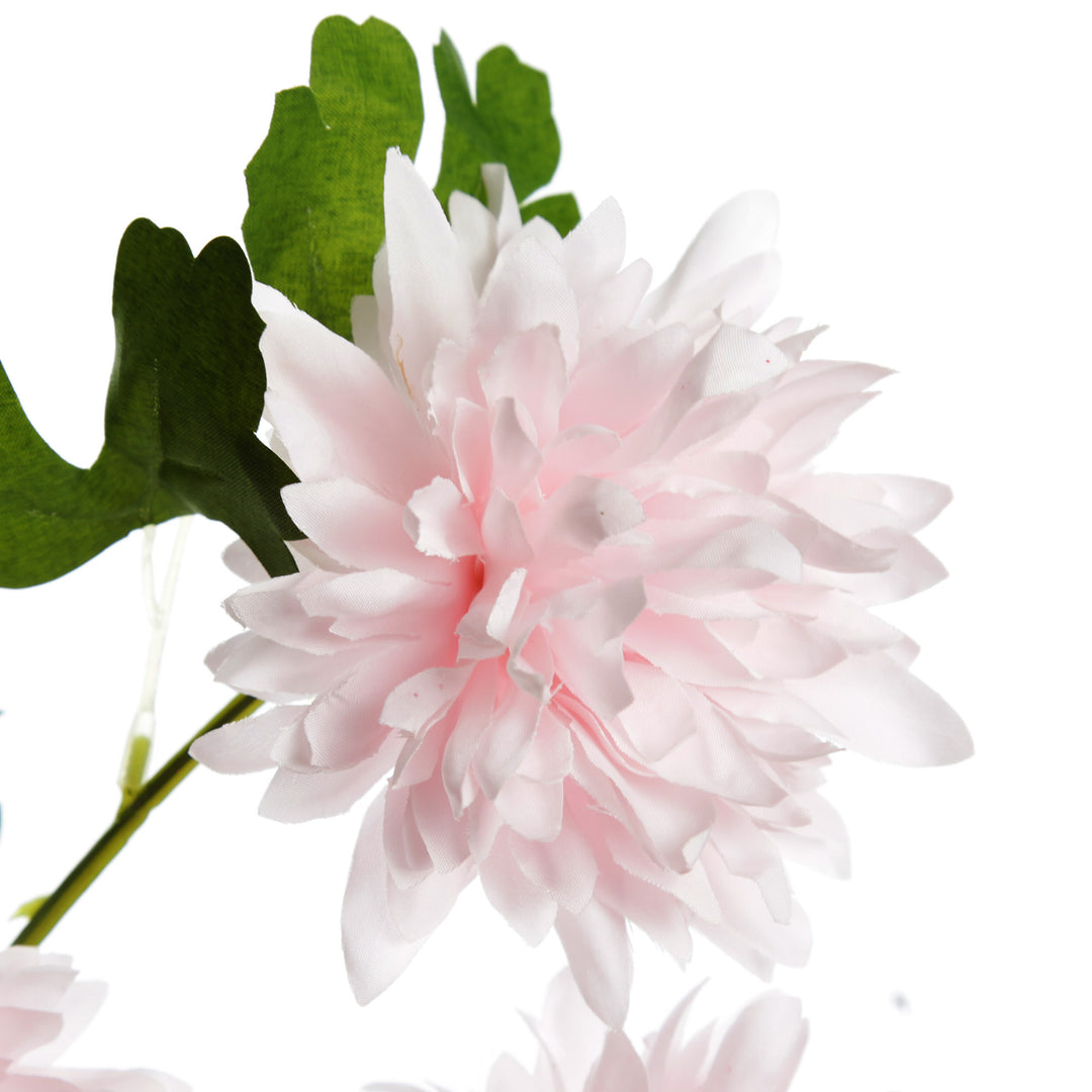 Pink Chrysanthemum Flower Spray Close Up Detail