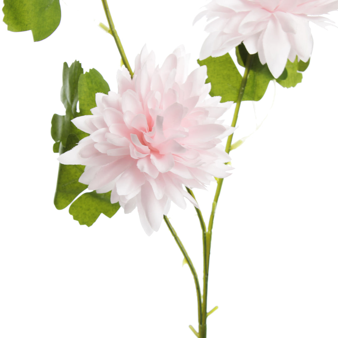 Pink Chrysanthemum Flower Spray Stem Detail