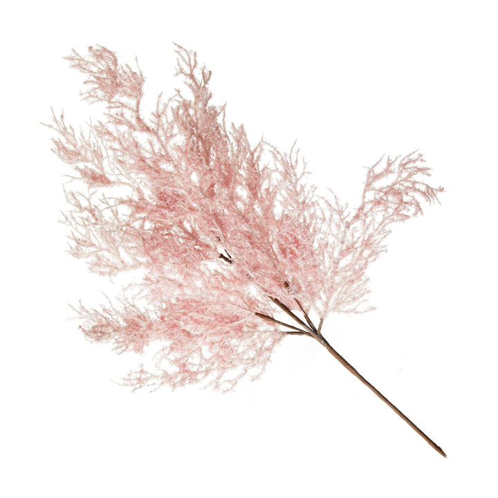 Pink Dried Astilbe Spray