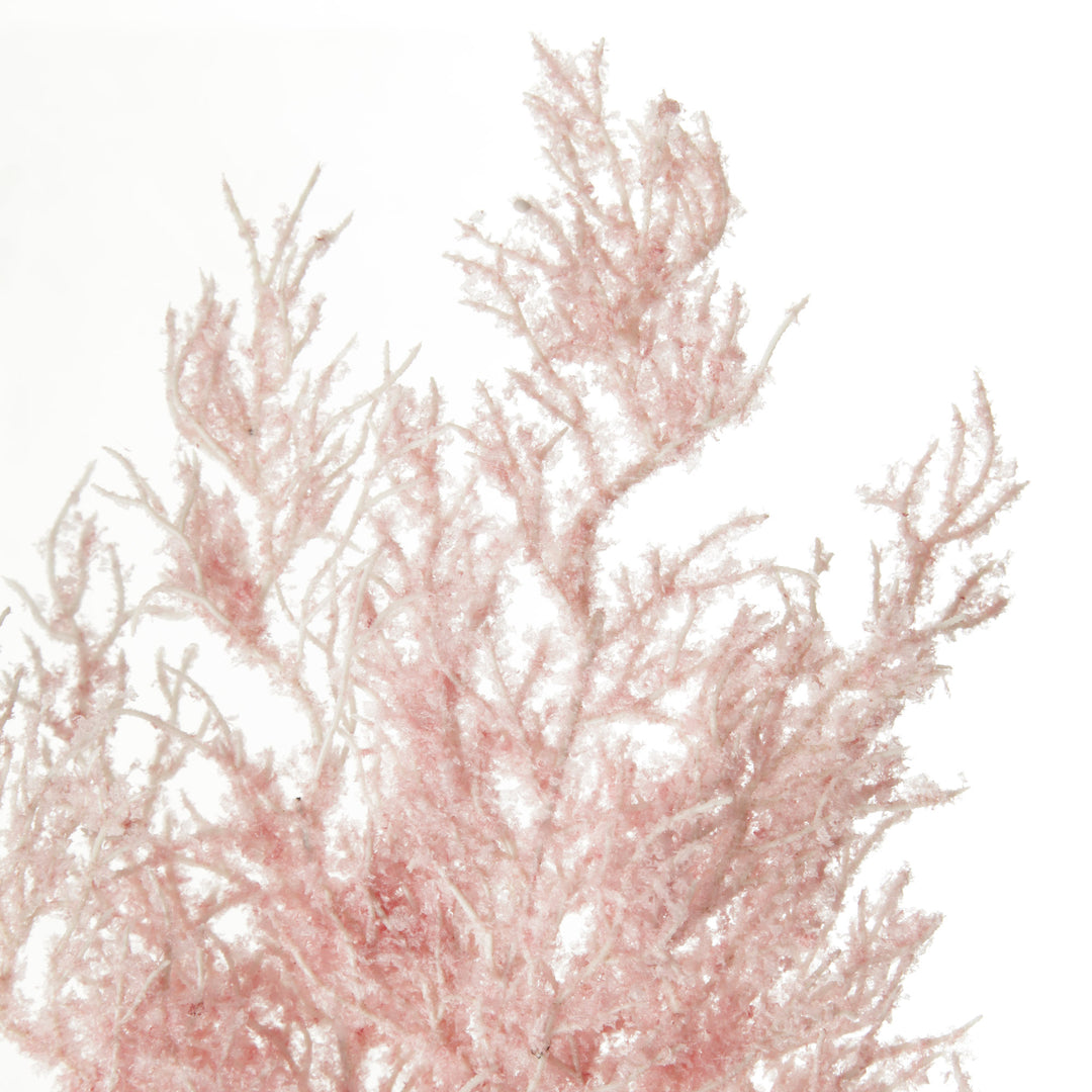 Pink Dried Astilbe Spray