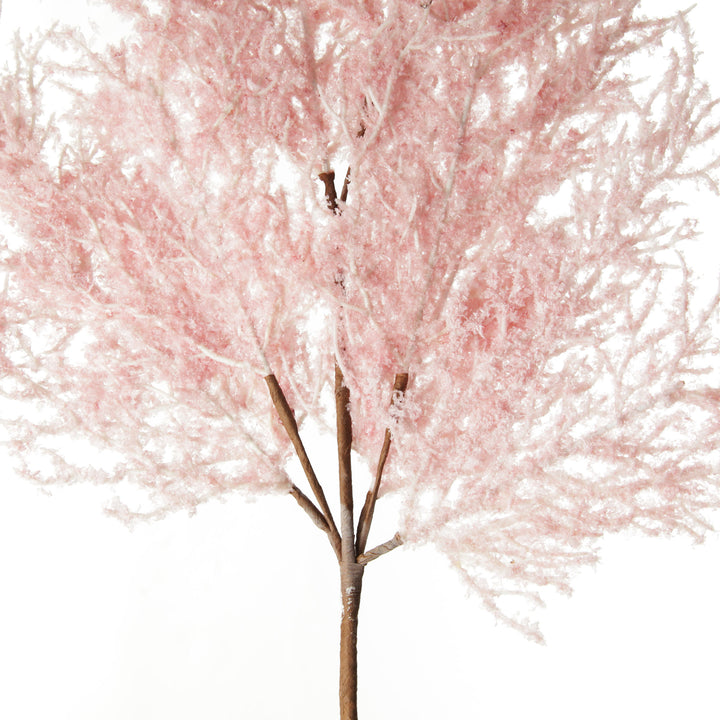 Pink Dried Astilbe Spray