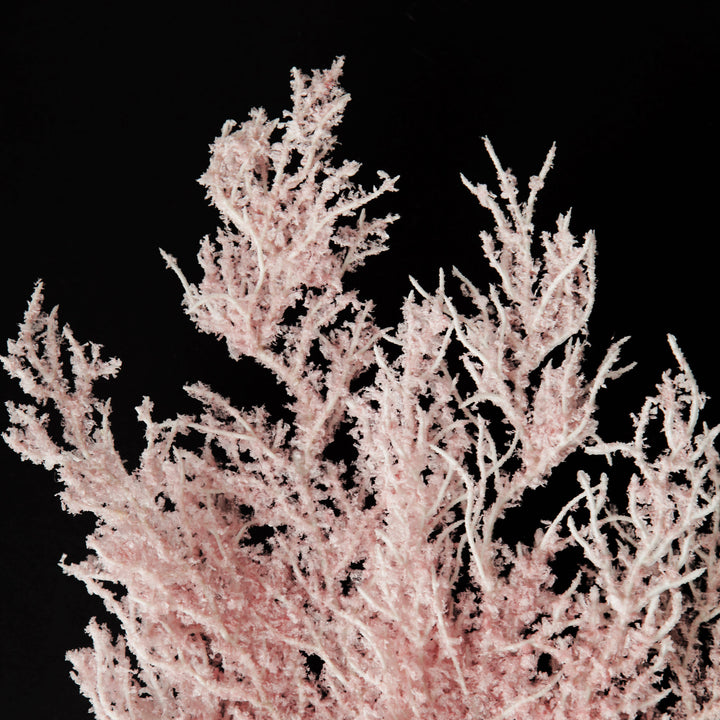 Pink Dried Astilbe Spray