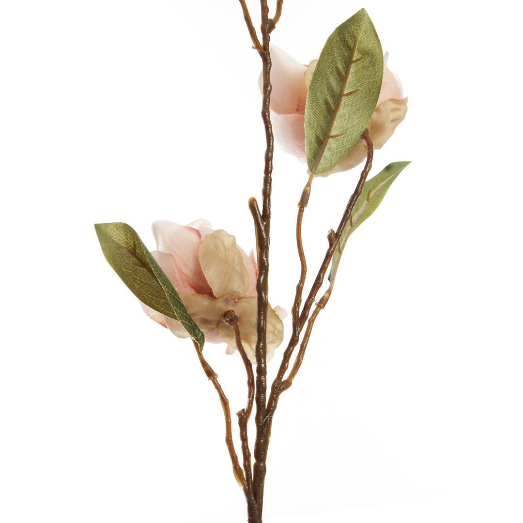 Pink Japanese Quince Flower Spray
