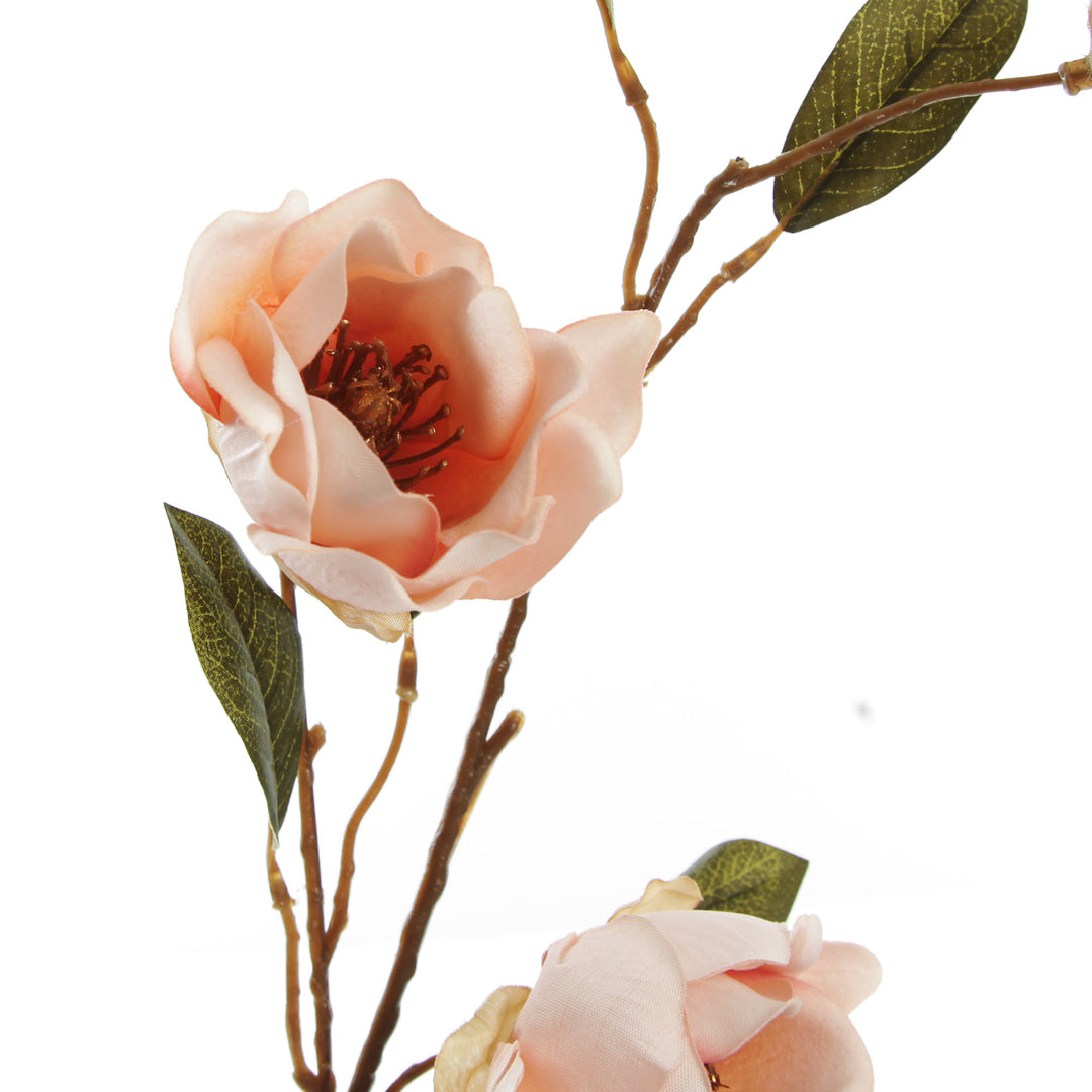 Pink Japanese Quince Flower Spray