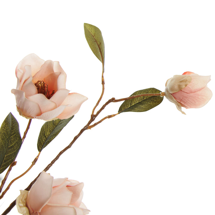 Pink Japanese Quince Flower Spray