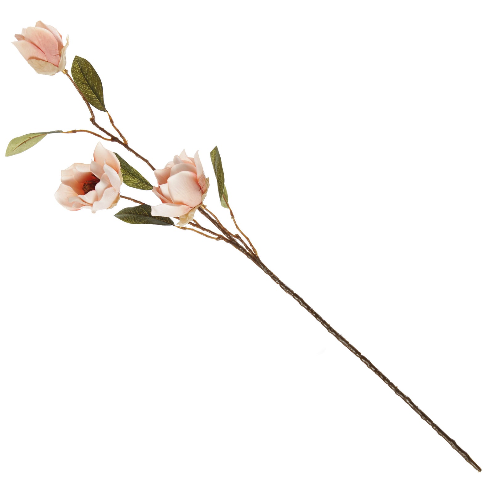 Pink Japanese Quince Flower Spray