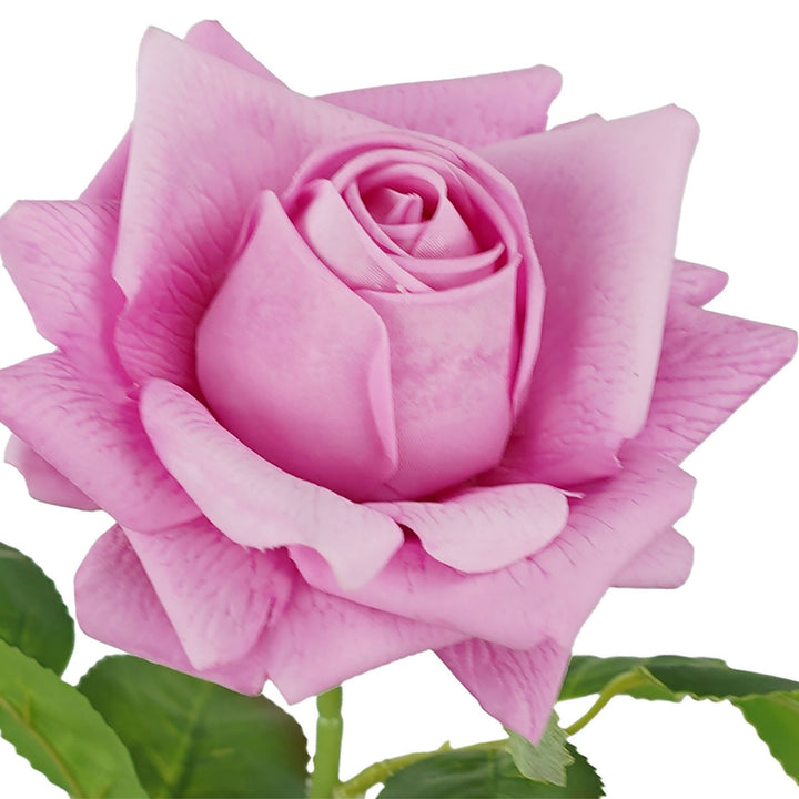 Pink Katherines Rose Real Touch