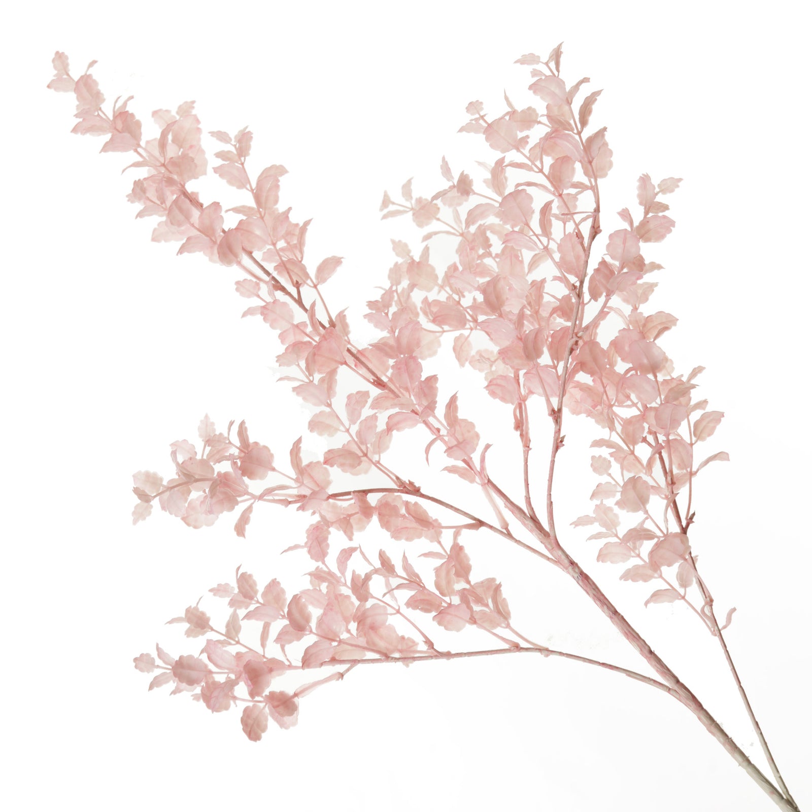 Pink Leafy Spray