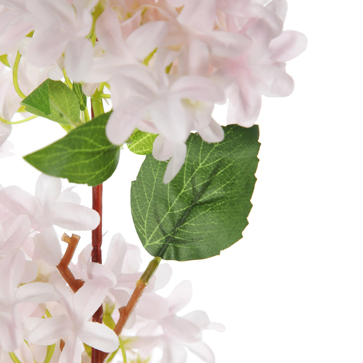 Pink Lilac Flower Spray Close Up