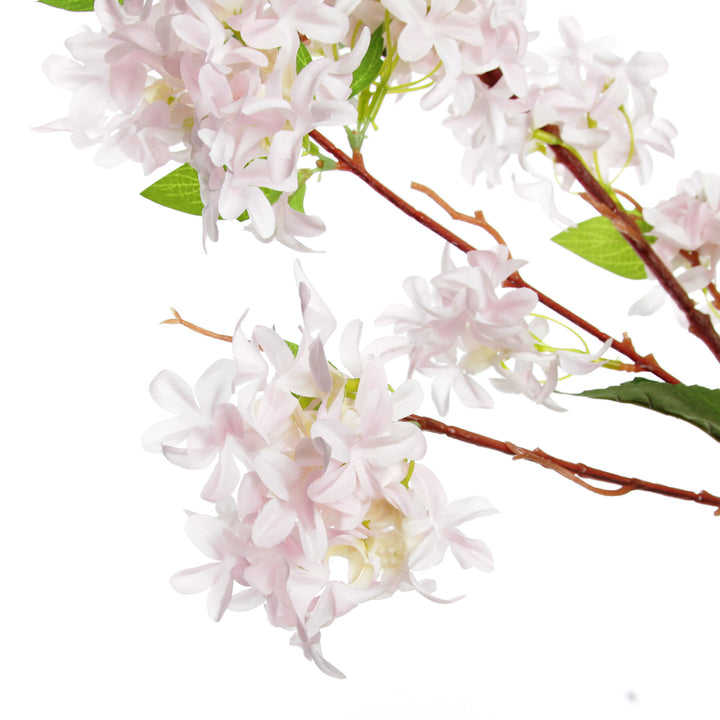 Pink Lilac Flower Spray Stem and Flower Detail
