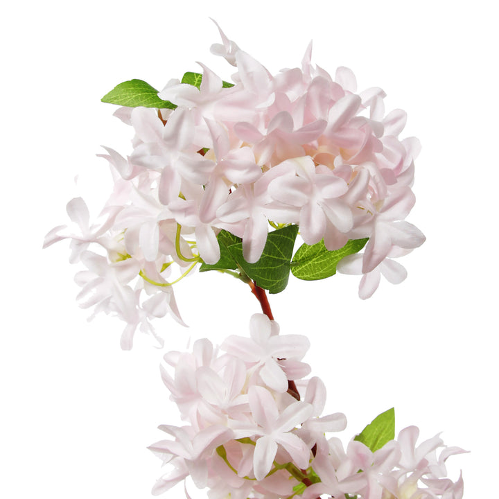 Pink Lilac Flower Spray Close Up