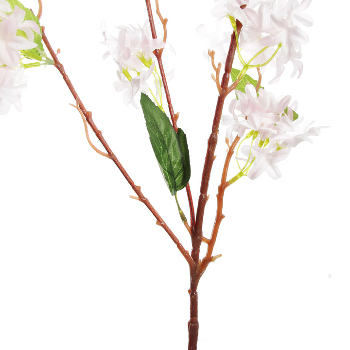 Pink Lilac Flower Spray Stem Detail