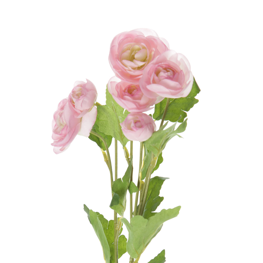 Pink Mini Ranunculus Flower Spray