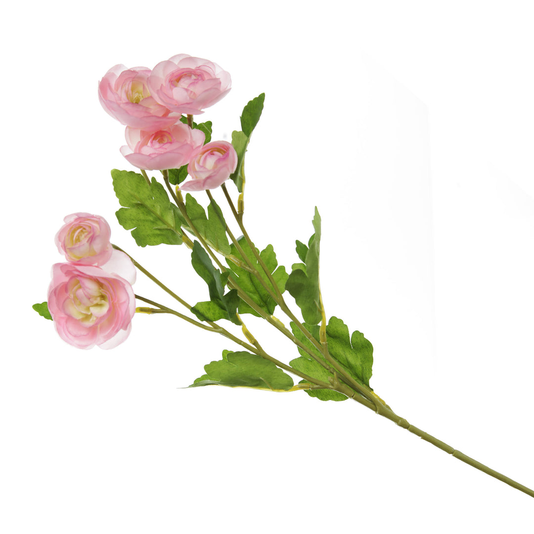 Pink Mini Ranunculus Flower Spray