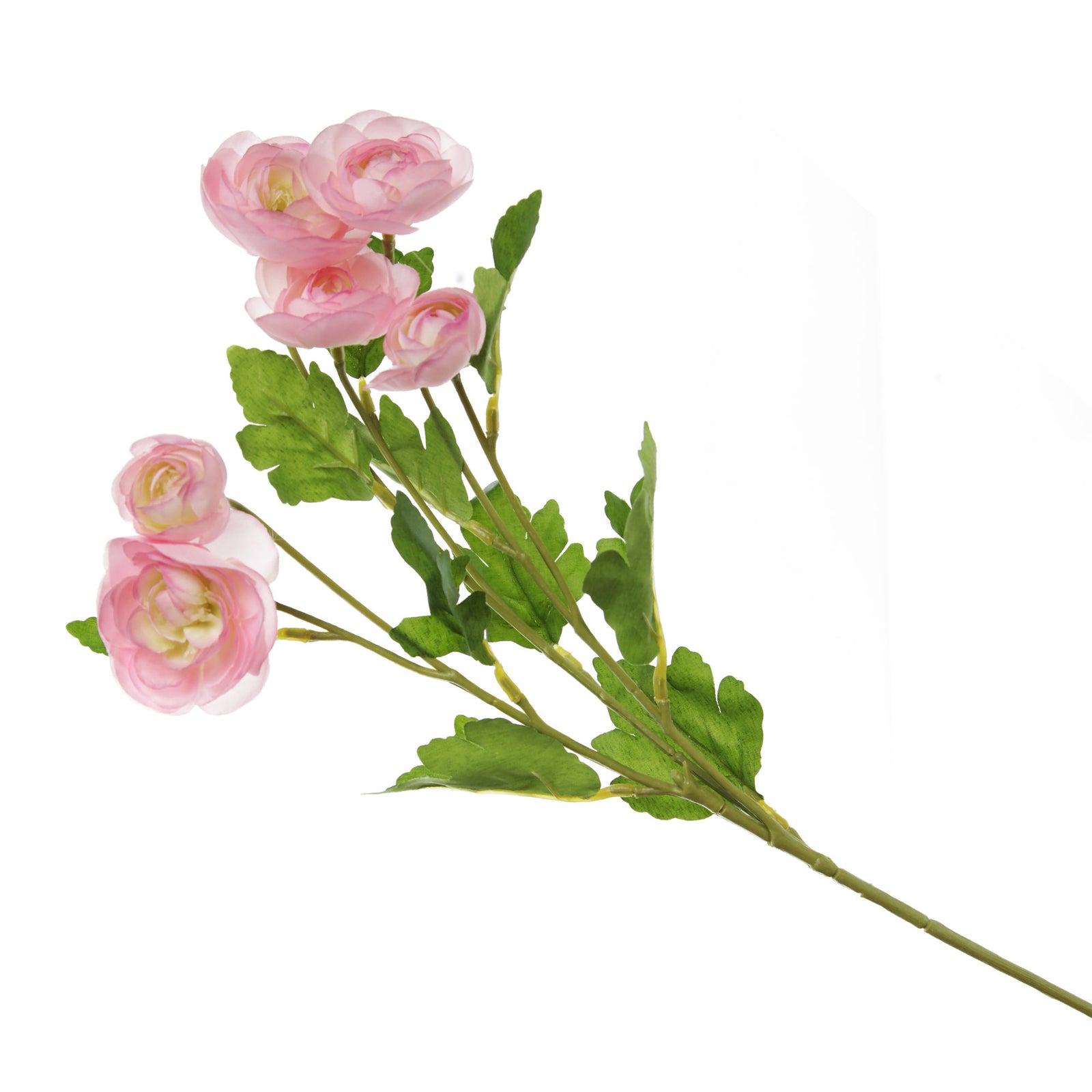 Pink Mini Ranunculus Flower Spray