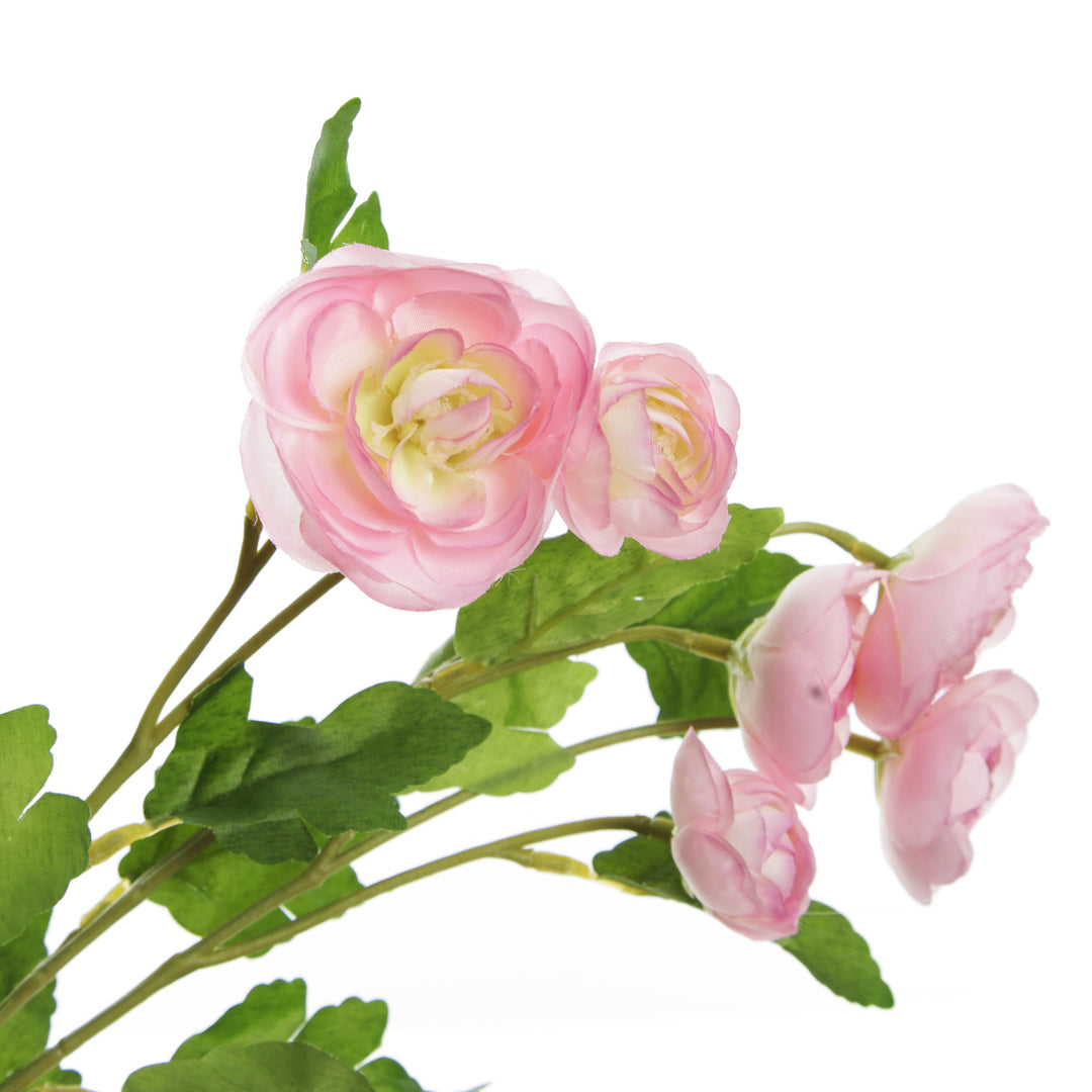Pink Mini Ranunculus Flower Spray Flower Detail