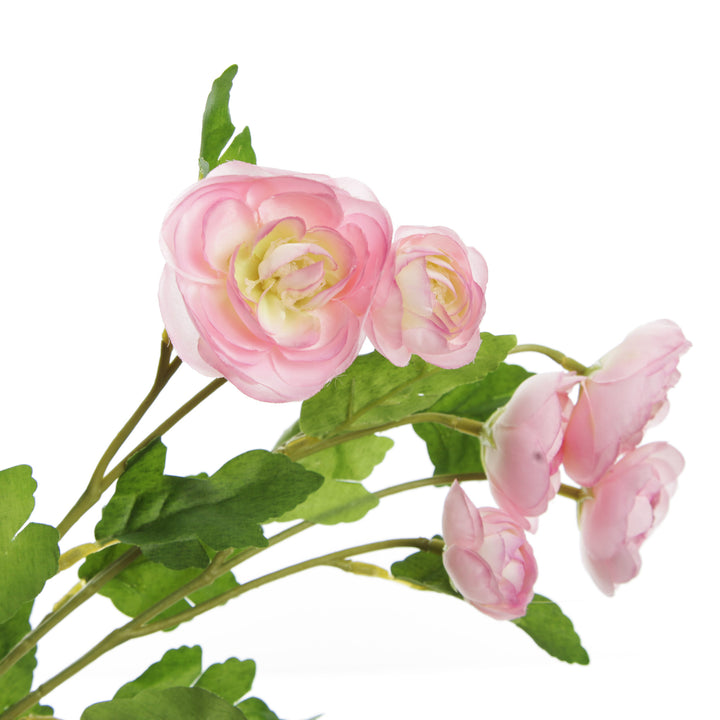 Pink Mini Ranunculus Flower Spray Flower Detail
