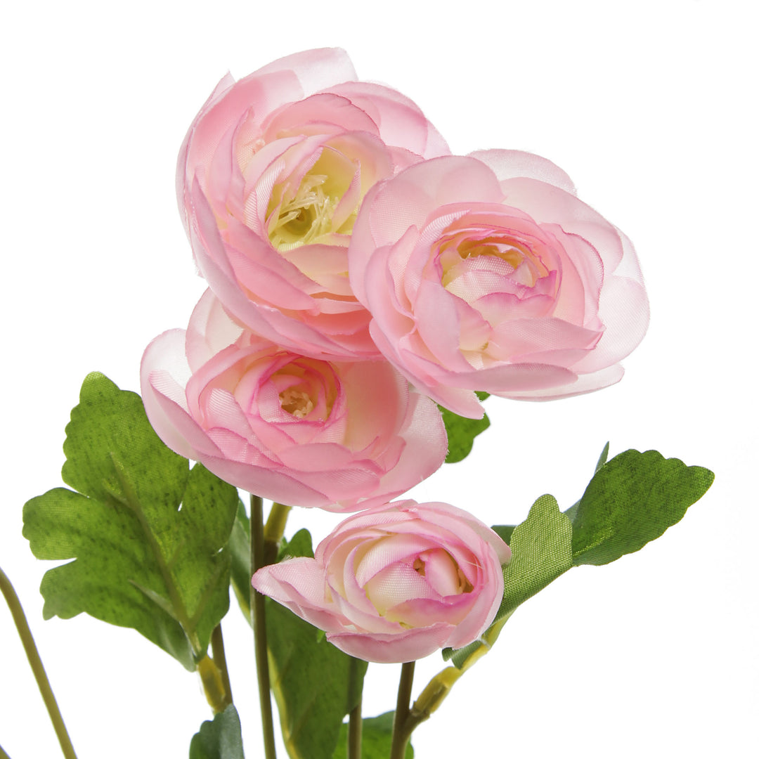 Pink Mini Ranunculus Flower Spray