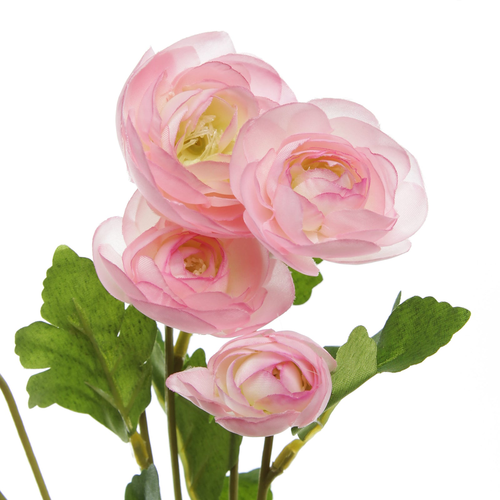 Pink Mini Ranunculus Flower Spray