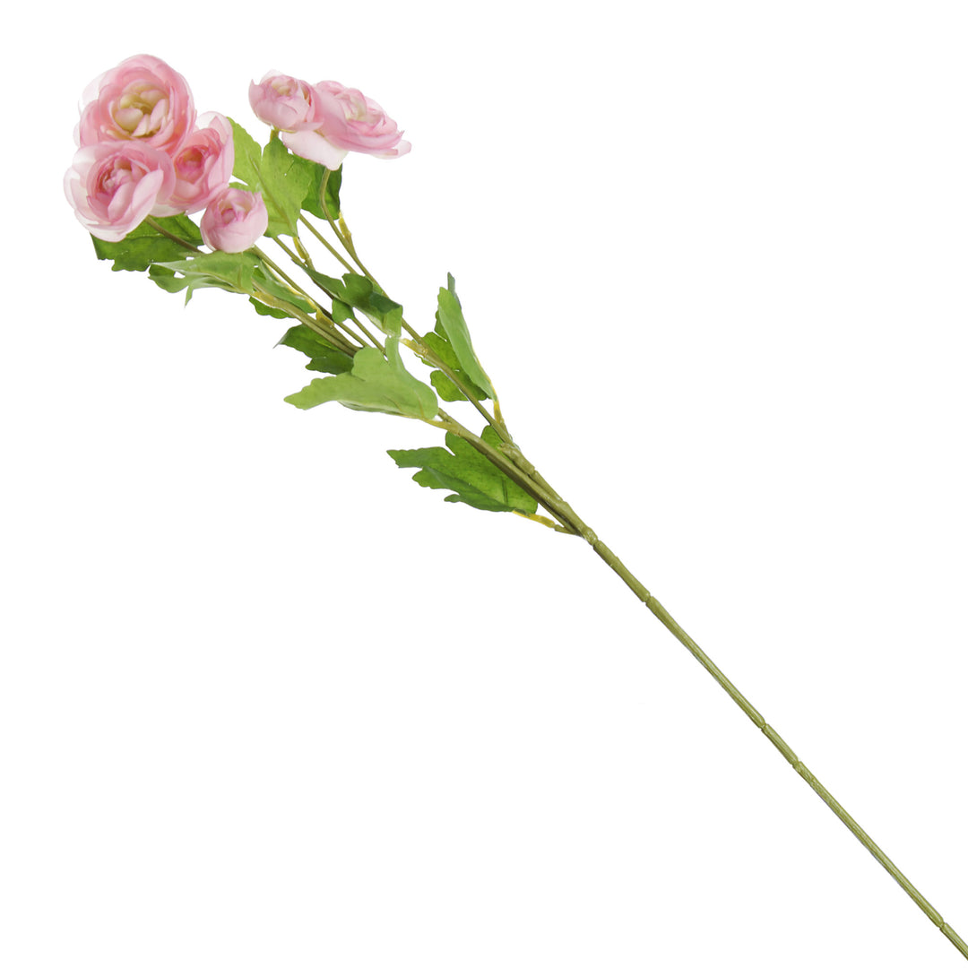 Pink Mini Ranunculus Flower Spray Full