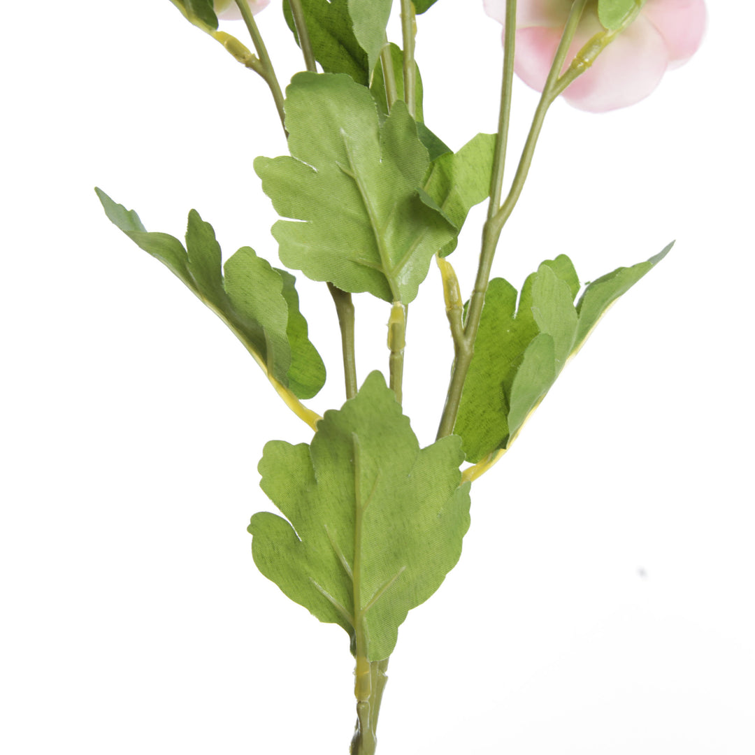 Pink Mini Ranunculus Flower Spray Back