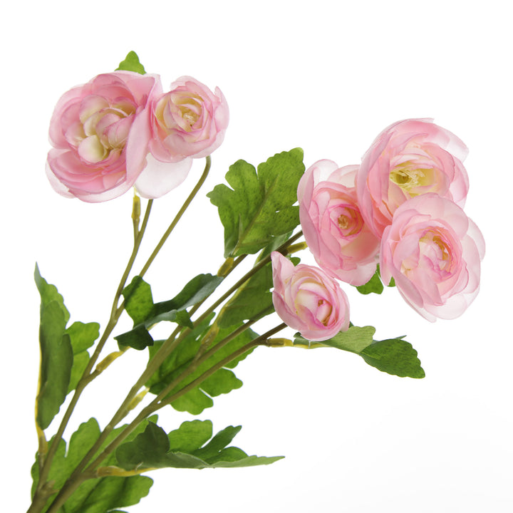 Pink Mini Ranunculus Flower Spray