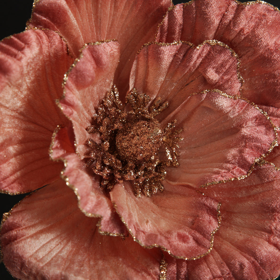 Pink Ombre Magnolia Flower Stem