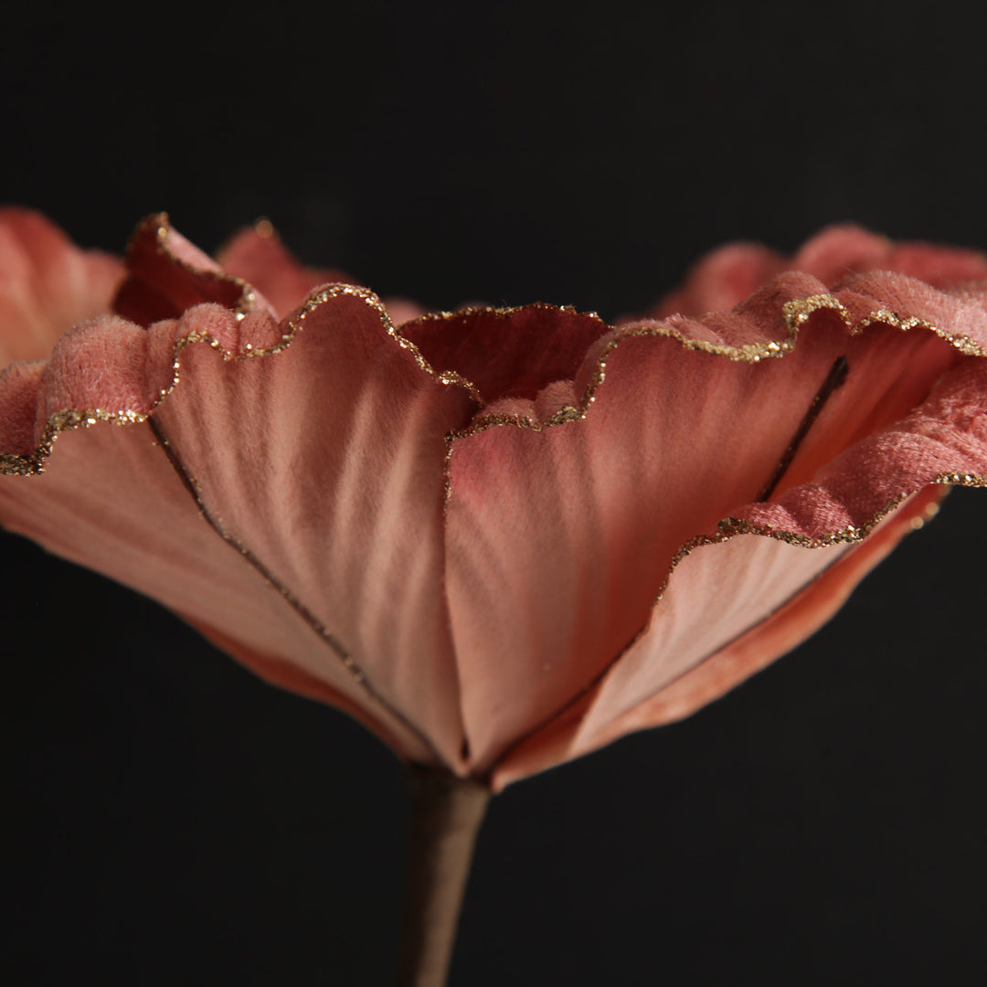 Pink Ombre Magnolia Flower Stem