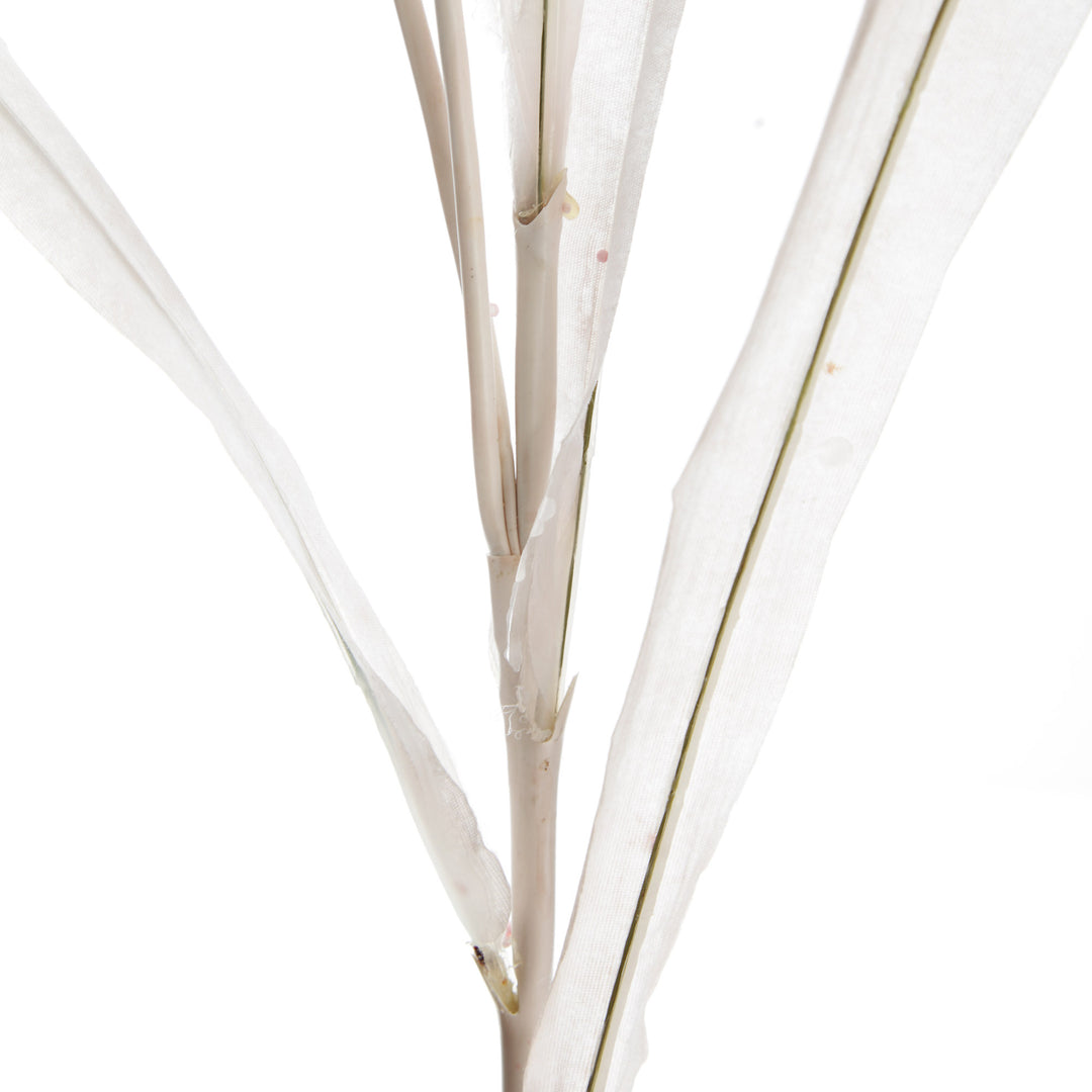 Pink Pampas Grass Spray - Stem details