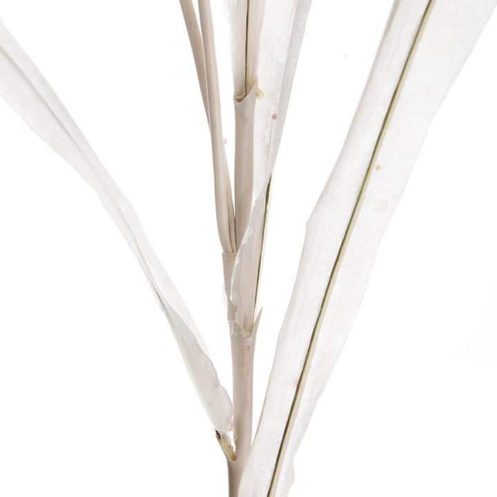 Pink Pampas Grass Spray - Stem details