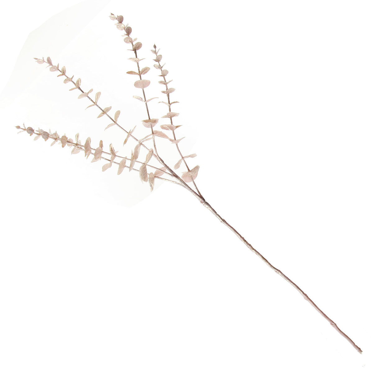 Pink Pearl Eucalyptus Dollar Gum Spray