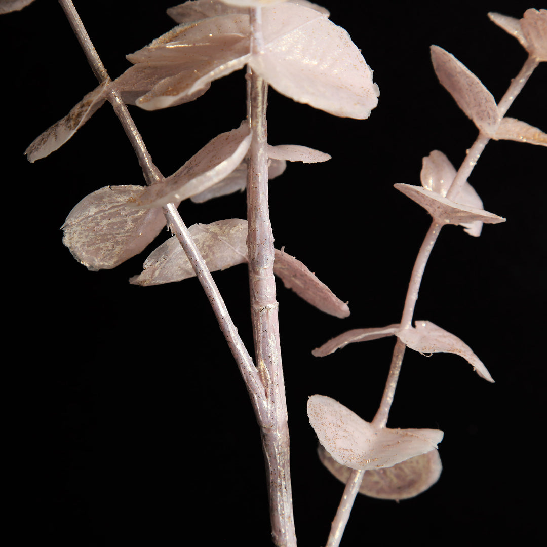 Pink Pearl Eucalyptus Dollar Gum Spray