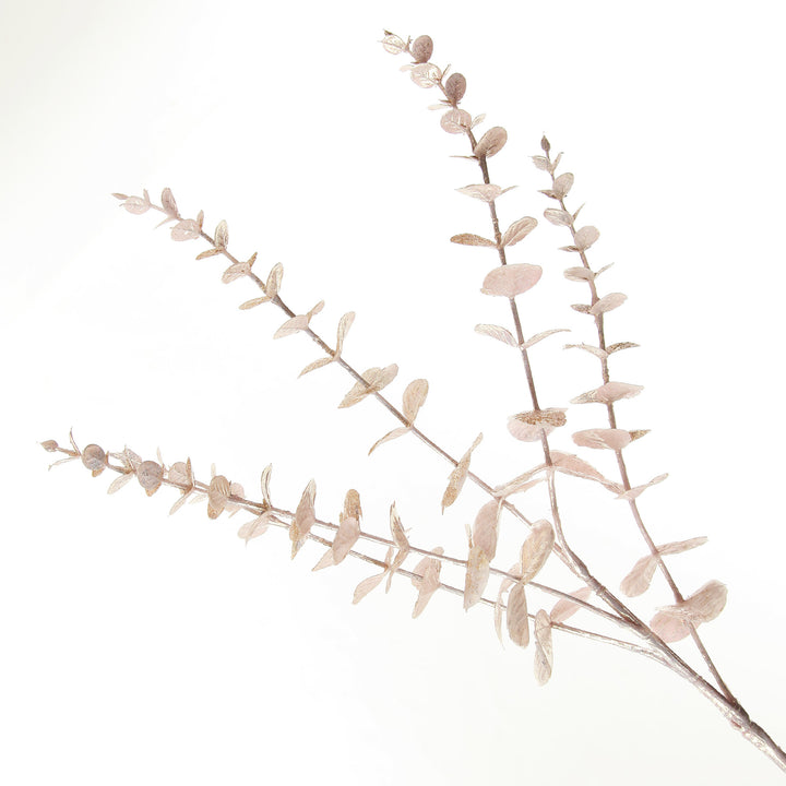Pink Pearl Eucalyptus Dollar Gum Spray