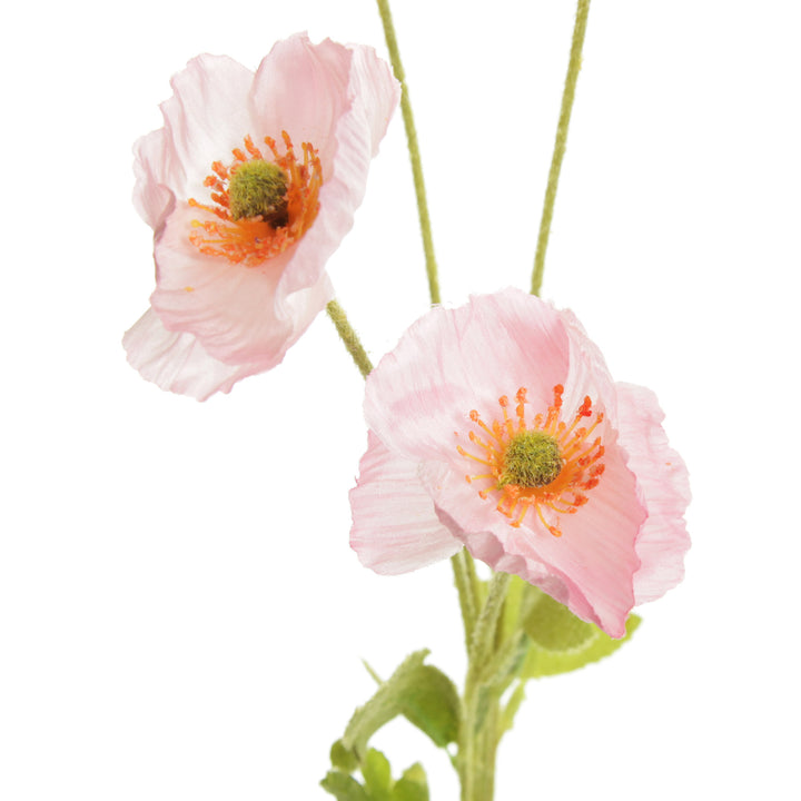 Pink Poppy Flower Spray