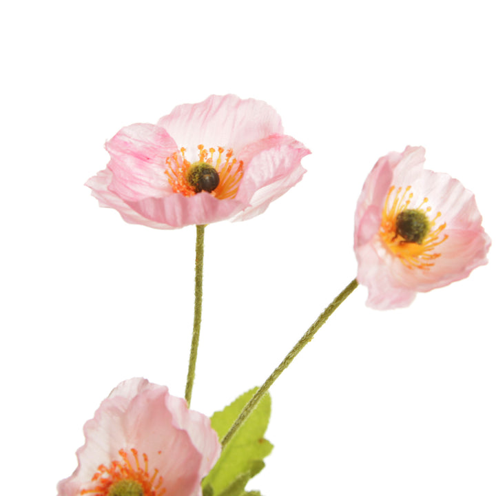 Pink Poppy Flower Spray