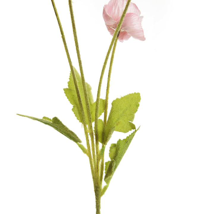 Pink Poppy Flower Spray