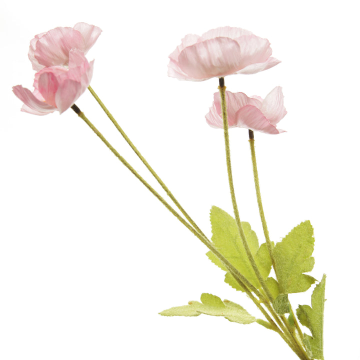Pink Poppy Flower Spray