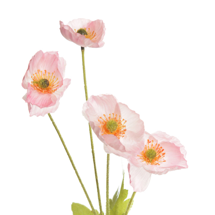 Pink Poppy Flower Spray
