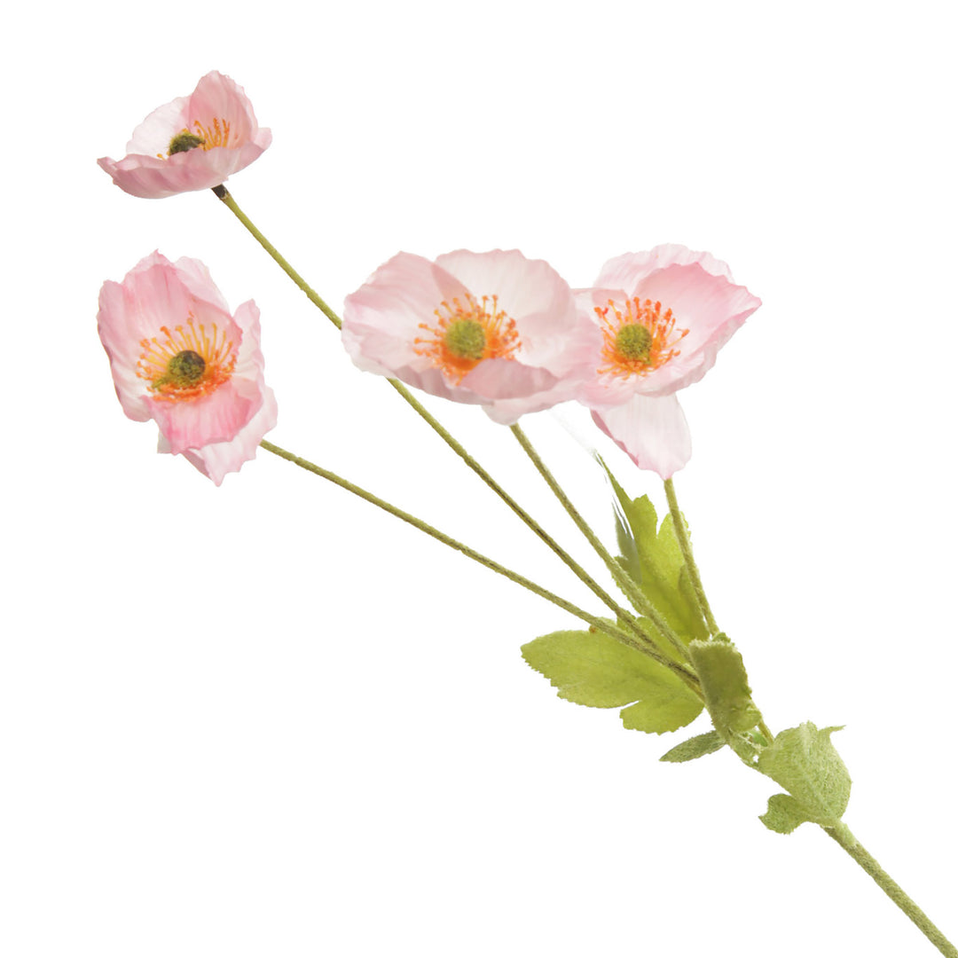 Pink Poppy Flower Spray