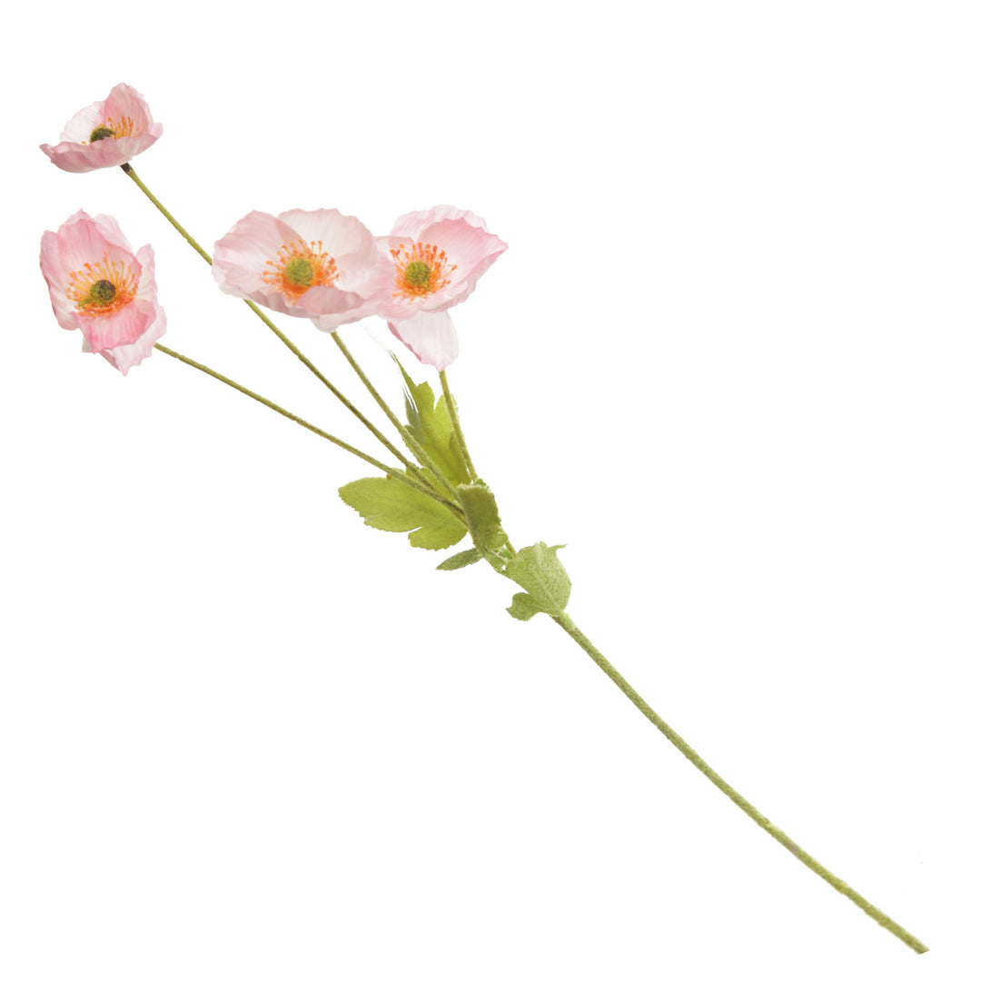 Pink Poppy Flower Spray