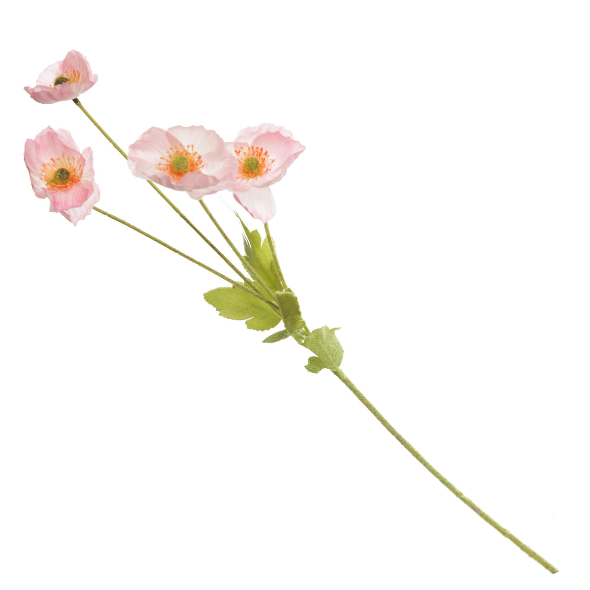 Pink Poppy Flower Spray