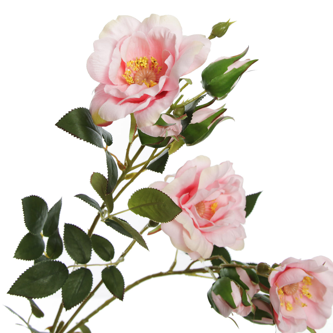 Pink Rose Flower Spray Flowers