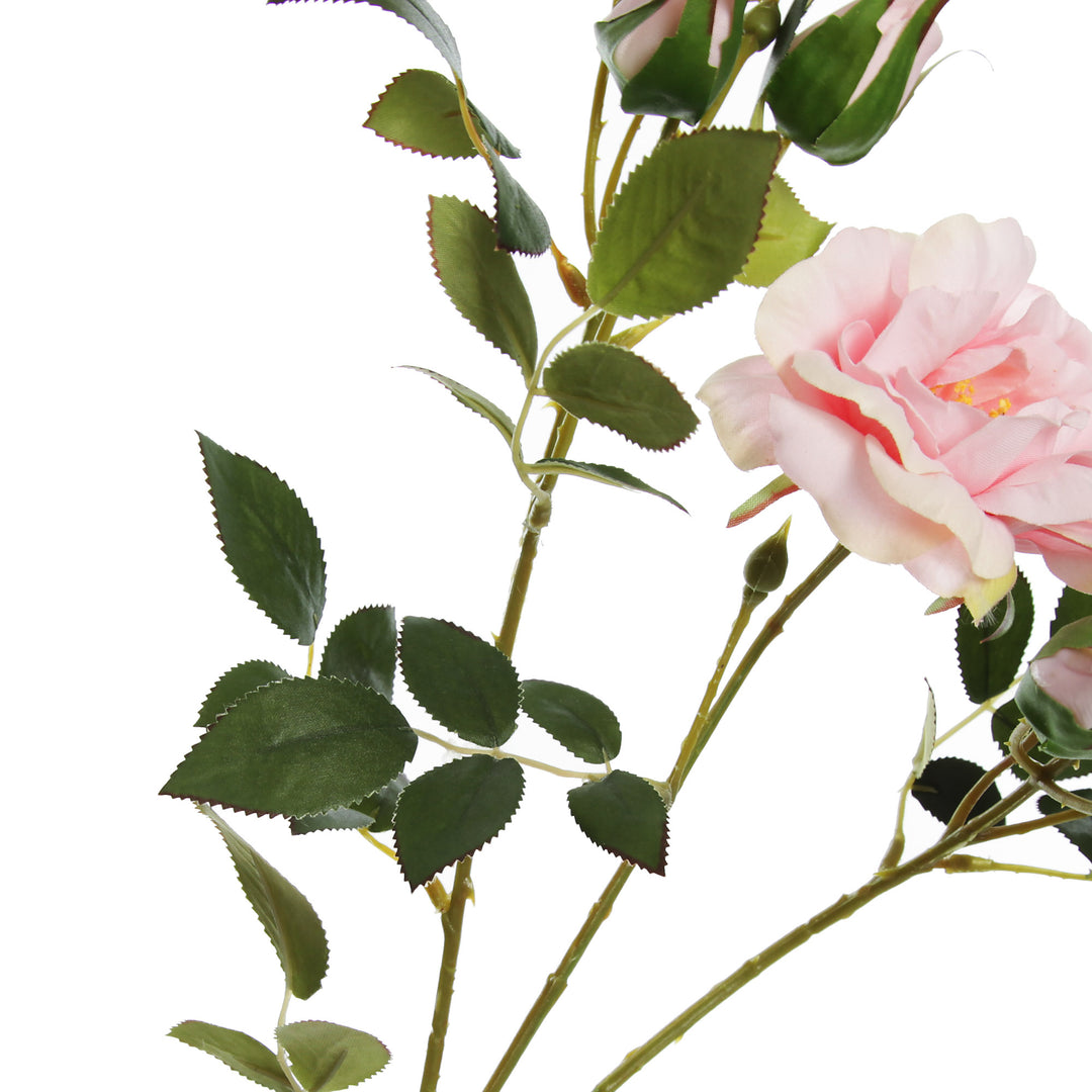 Pink Rose Flower Spray Stem Detail