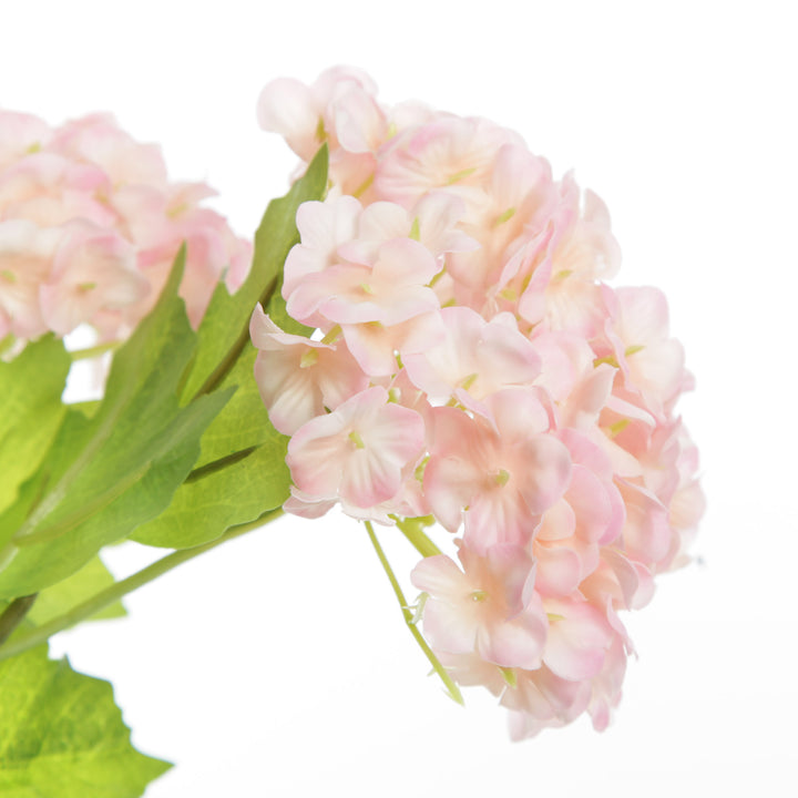 Pink Snow Ball Hydrangea Spray 