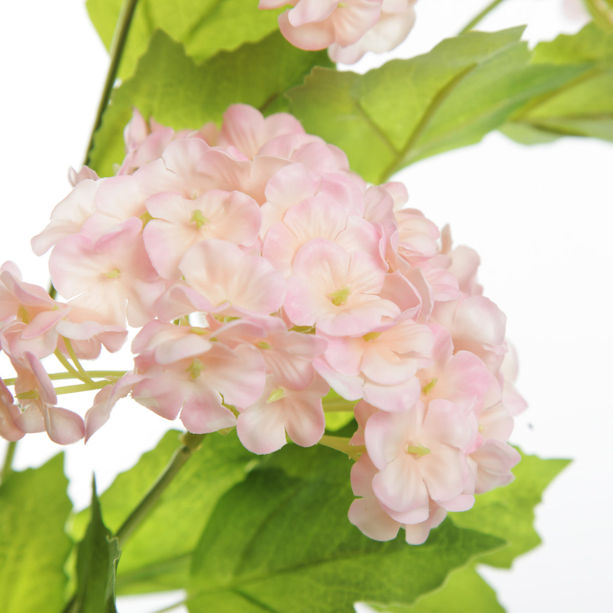 Pink Snow Ball Hydrangea Spray 